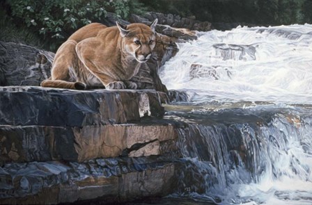 Summer Creek by Ron Parker art print