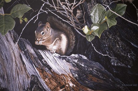 Red Squirrel In Salac by Ron Parker art print
