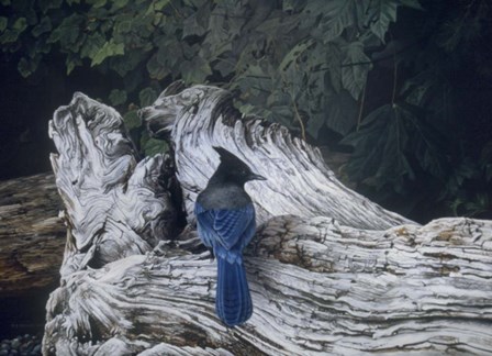 Driftwood 2 by Ron Parker art print