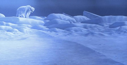 Ice Palace by Ron Parker art print