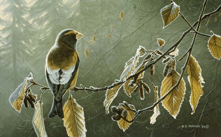 Frosty Alder by Ron Parker art print