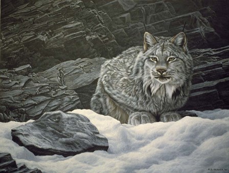 Resting Spot by Ron Parker art print