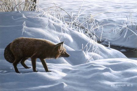 Winter Stalk by Ron Parker art print