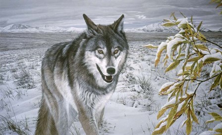 Lone Wolf by Ron Parker art print