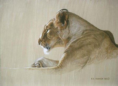 Lionness by Ron Parker art print