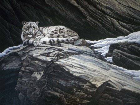 Mountain Monarch by Ron Parker art print