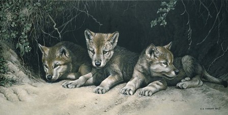 Three Little Wolves by Ron Parker art print
