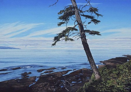 Pacific Shore by Ron Parker art print