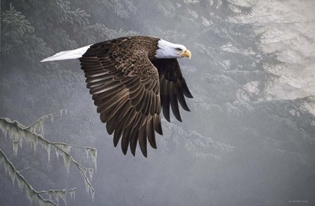 Mystic Forest by Ron Parker art print