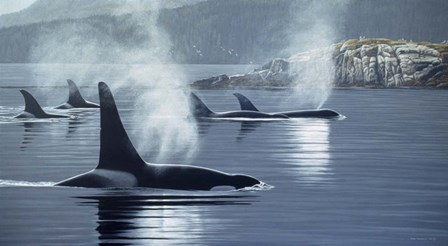 Morning Mist by Ron Parker art print