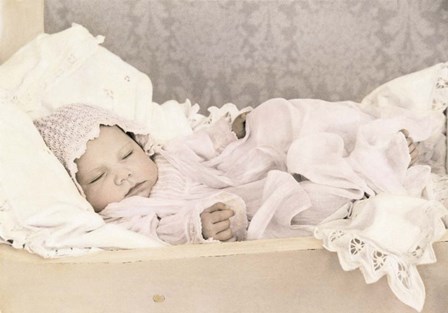 Sleeping Beauty by Sharon Forbes art print