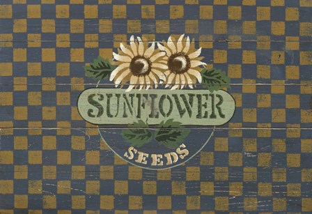 Sunflower by Susan Clickner art print