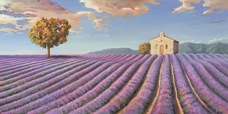 Campi di Lavanda by Adriano Galasso art print