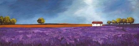 Field of Lavender II by Philip Bloom art print