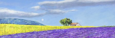 Campi di Lavanda by Massimo Germani art print