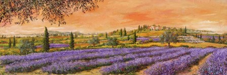 Filari di Lavanda by Tebo Marzari art print