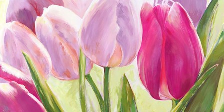 Tulipes I by Leonardo Sanna art print