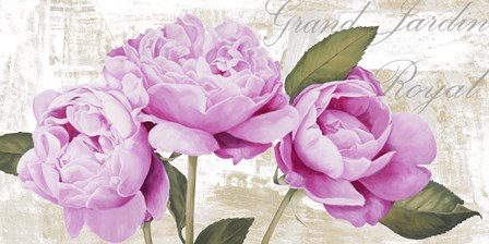 Grand Jardin Royal by Jenny Thomlinson art print