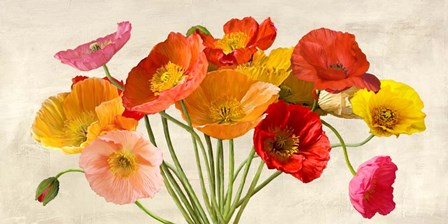 Poppies in Spring by Luca Villa art print