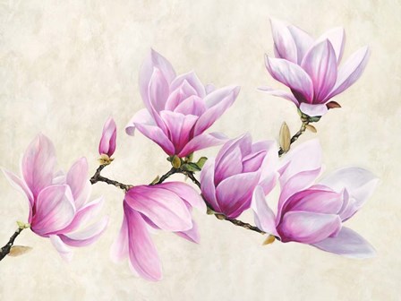 Ramo di Magnolia by Luca Villa art print