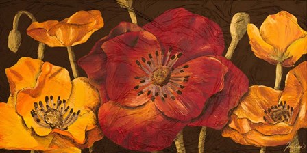 Dazzling Poppies I (black background) by Josefina art print