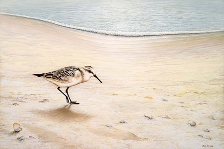 Morning Stroll by Bruce Nawrocke art print