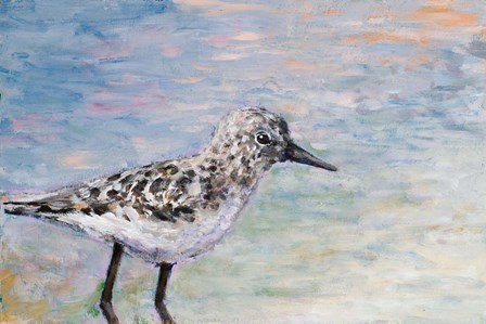 Sandpiper IB by Walt Johnston art print