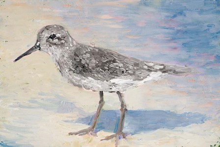 Sandpiper IIB by Walt Johnston art print