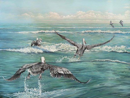 Pelican Beach by Bruce Nawrocke art print
