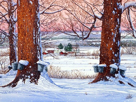 Buckets Of Snow by Thelma Winter art print