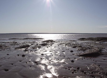 Atlantic Skies II by Willow Way Studios, Inc. art print