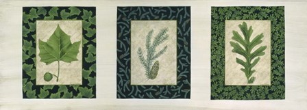 Three Leaves C by Susan Clickner art print