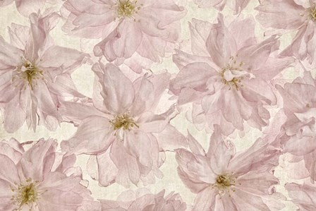 Vintage Blossom by Cora Niele art print