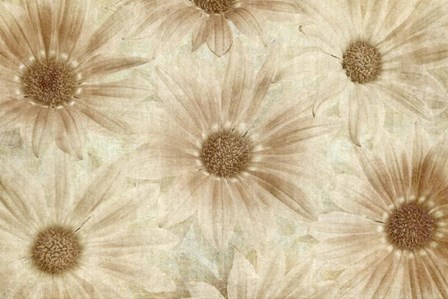 Vintage Daisies by Cora Niele art print