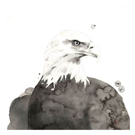 Eagle by Philippe Debongnie art print