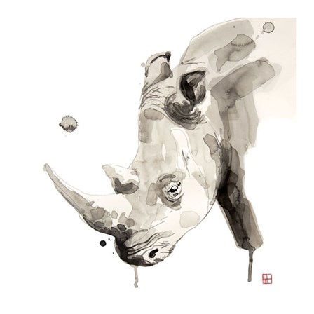 Rhino by Philippe Debongnie art print