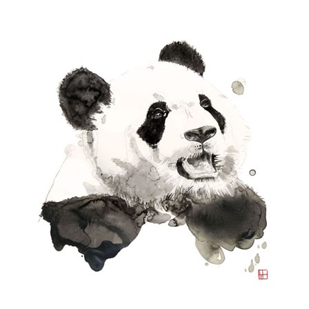Panda by Philippe Debongnie art print