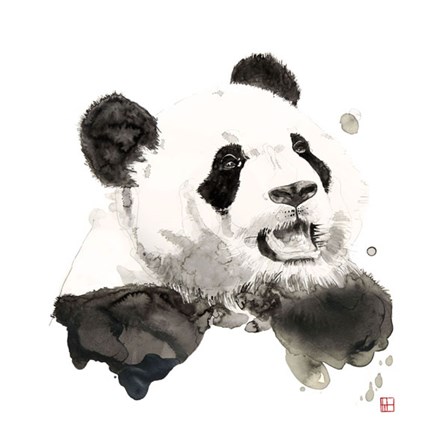 Panda by Philippe Debongnie art print