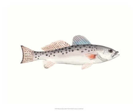 Watercolor Deep Sea Fish IV by Naomi McCavitt art print