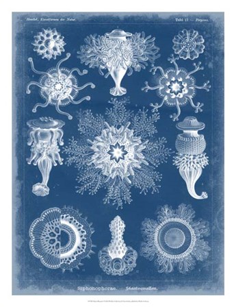 Marine Blueprint I by Vision Studio art print