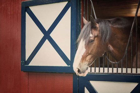 Patriotic Pony I by Elizabeth Urquhart art print