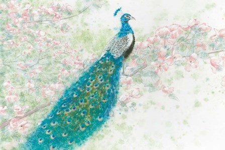 Spring Peacock I Pink Flowers by James Wiens art print