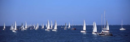 Boats in Regatta, Brittany, France by Panoramic Images art print