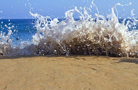 Oahu Beach, Hawaii III by Panoramic Images art print