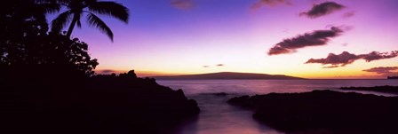 Palm Trees at Dusk, Maui, Hawaii, USA by Panoramic Images art print