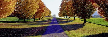 Autumn Road, Storm King Mountain, New York by Richard Berenholtz art print