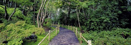 Tea Garden Walkway, San Francisco Botanical Gardens by Richard Berenholtz art print