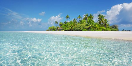 Palm Island, Maldives by Frank Krahmer art print