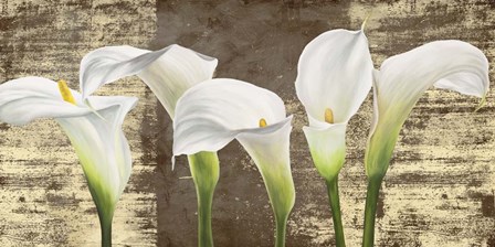 Callas on Gold (mocca variation) by Jenny Thomlinson art print