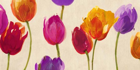 Tulips &amp; Colors by Luca Villa art print